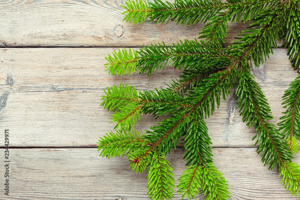 Christmas pine tree branches on wooden board. Christmas pine tree branches on wooden board.