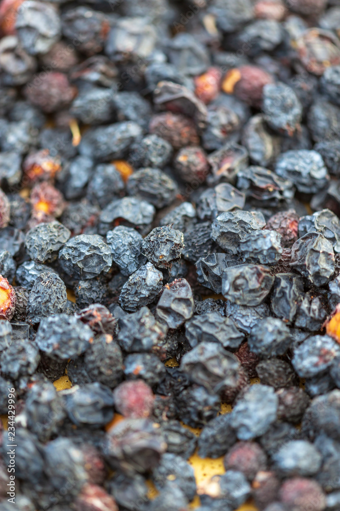 Dried cherry as abstract background Dried cherry as abstract background