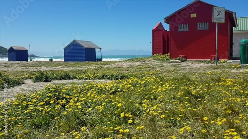 Colorful Houses on Beachfront