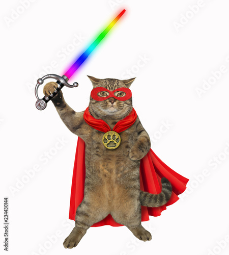 The super hero cat in a red cloak and a mask holds a glowing sword. White background. photo