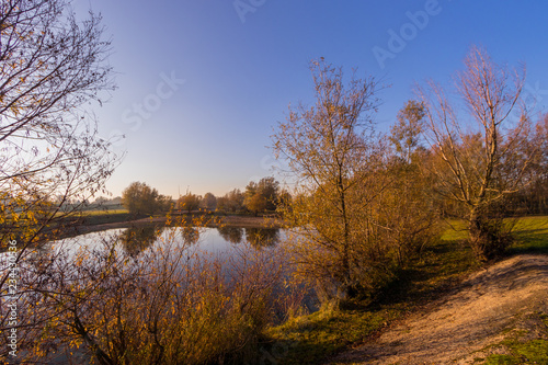 Trees along river