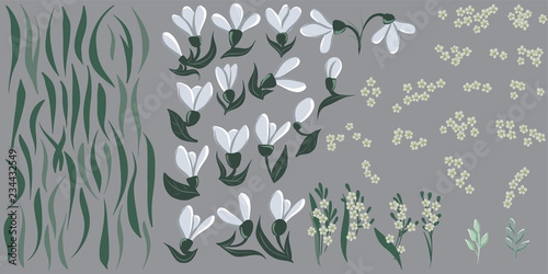 Set of vector pictures with leaves and harebell flowers for creating wreath or border