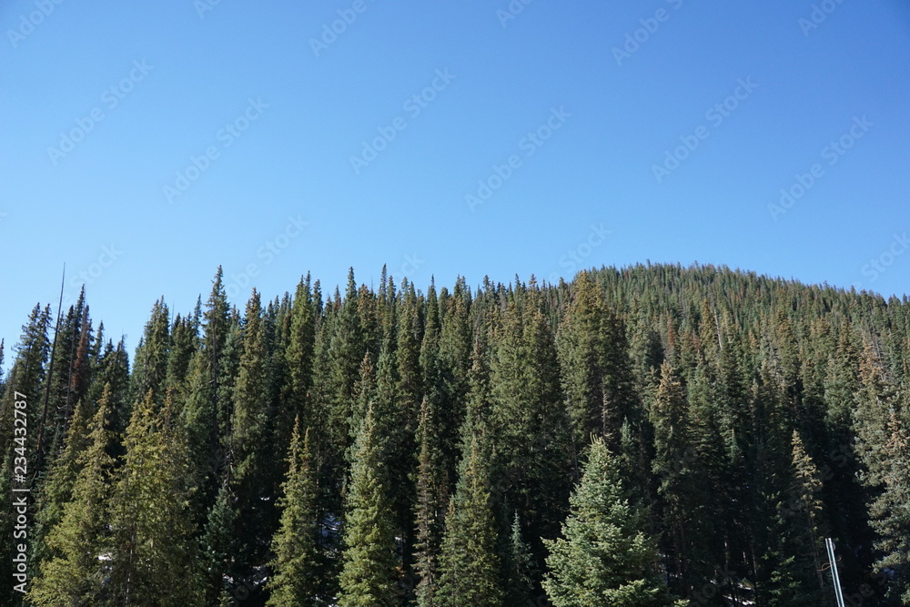 landscape with trees and blue sky landscape with trees and blue sky