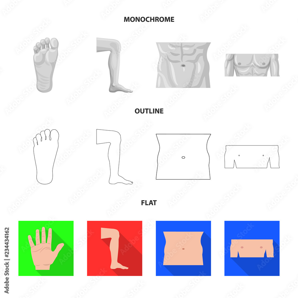 Vector design of human and part icon. Set of human and woman stock symbol for web. Vector design of human and part icon. Set of human and woman stock symbol for web.