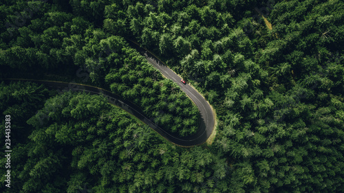 Aerial view of car driving through the forest on country road, Madeira island.