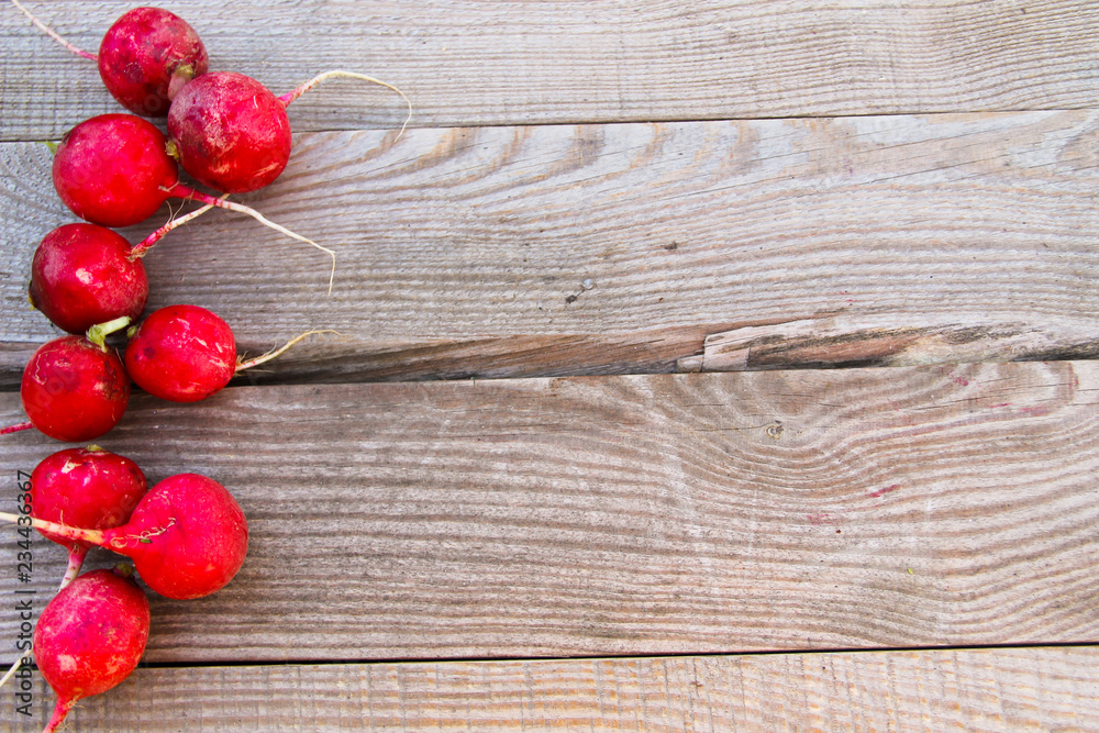 Red radish on rustic wooden table Red radish on rustic wooden table