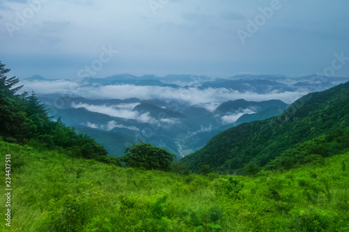 한국 산의 풍경 일출 트래킹 등산 새벽 숲속