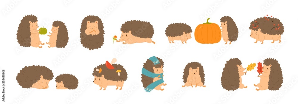 Collection of adorable hedgehogs carrying mushrooms and berries, playing with autumn leaves, sleeping. Set of cute forest animals isolated on white background. Flat cartoon vector illustration. Collection of adorable hedgehogs carrying mushrooms and berries, playing with autumn leaves, sleeping. Set of cute forest animals isolated on white background. Flat cartoon vector illustration.