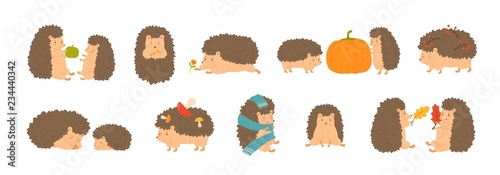 Collection of adorable hedgehogs carrying mushrooms and berries, playing with autumn leaves, sleeping. Set of cute forest animals isolated on white background. Flat cartoon vector illustration.