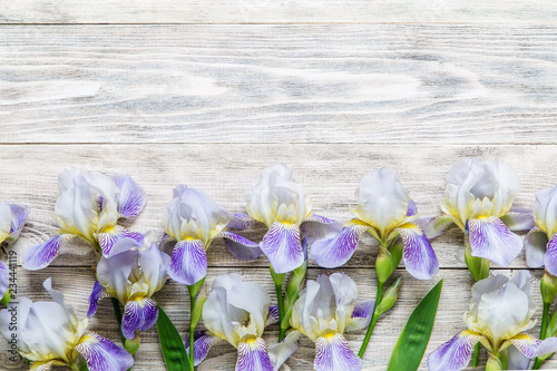 Fototapeta Naklejka Na Ścianę i Meble -  Image with iris.