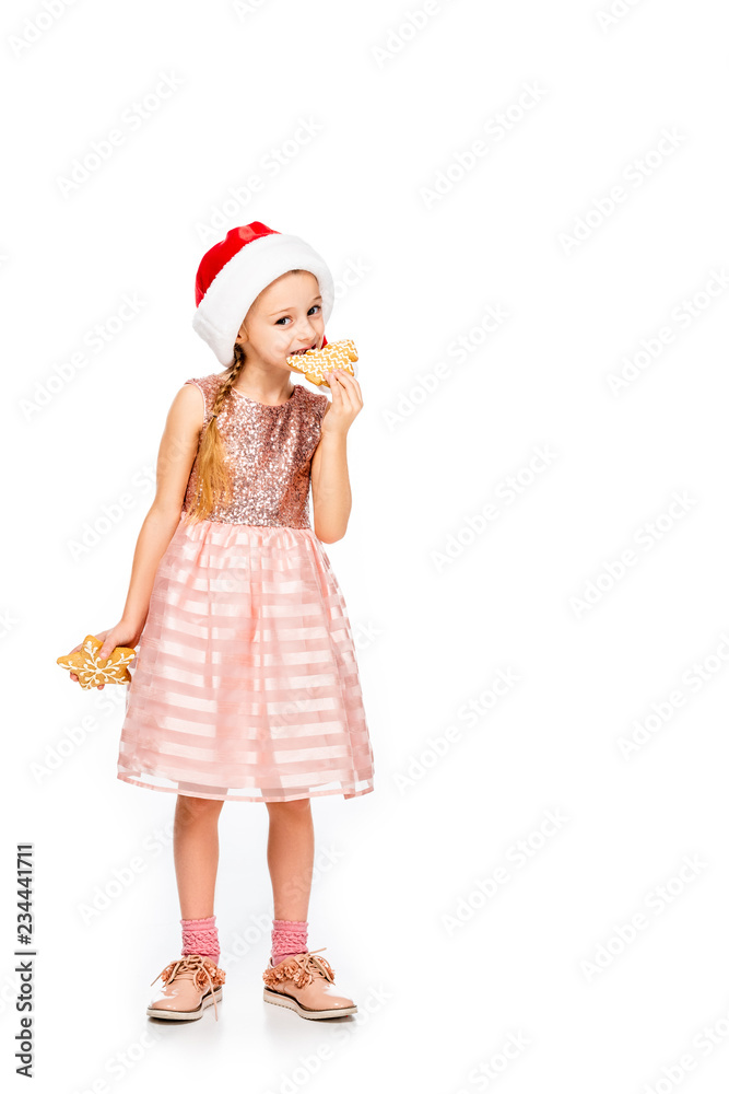 adorable little child in santa hat eating ginger cookies and looking at camera isolated on white adorable little child in santa hat eating ginger cookies and looking at camera isolated on white