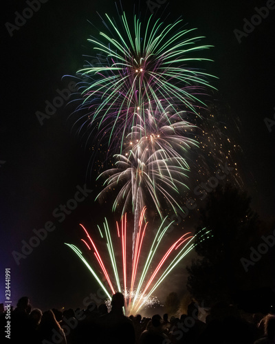 Crowd watches fireworks in the night sky