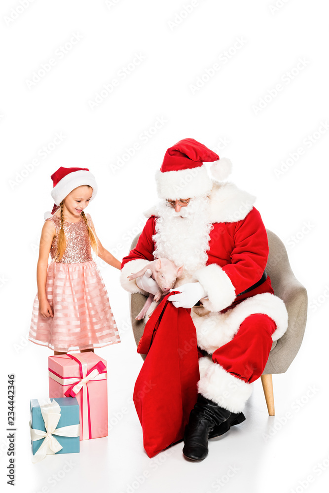 happy santa claus and little child petting piggy together isolated on white happy santa claus and little child petting piggy together isolated on white