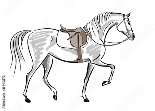 Beautiful horse in motion with saddle and bridle. English equestrian sport fox hunting autumn style. Hand drawing art. Vector sketch and stroke line illustration on white.
