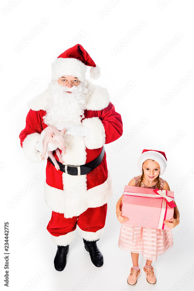 high angle view of santa holding pig and child holding present isolated on white high angle view of santa holding pig and child holding present isolated on white