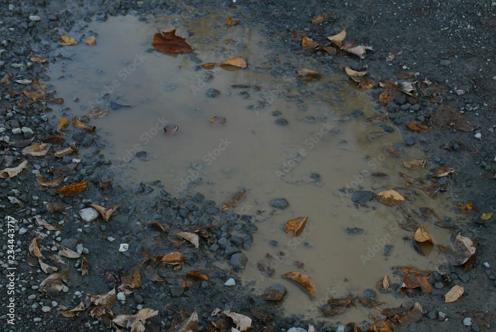 puddle puddle