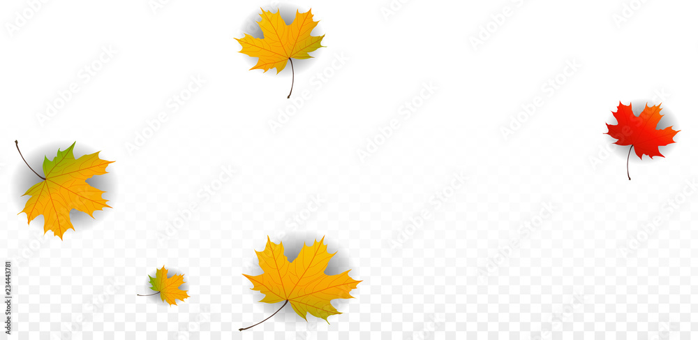 September Vector Background with Golden Falling Leaves. Autumn Illustration with Maple Red, Orange, Yellow Foliage. Isolated Leaf on Transparent Background. Bright Swirl. Suitable for Posters. September Vector Background with Golden Falling Leaves. Autumn Illustration with Maple Red, Orange, Yellow Foliage. Isolated Leaf on Transparent Background. Bright Swirl. Suitable for Posters.