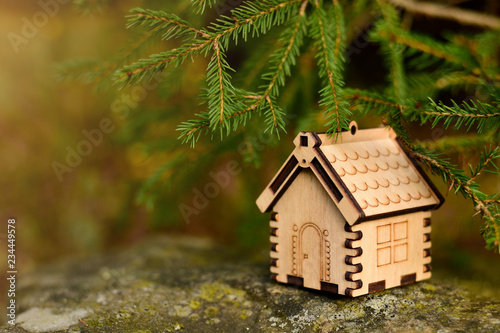 Wooden house model in the forest. concept © plysuikvv
