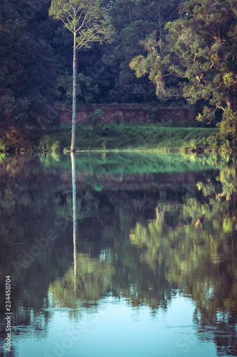Fototapeta Naklejka Na Ścianę i Meble -  romantic landscape with reflections in the lake in angkor wat