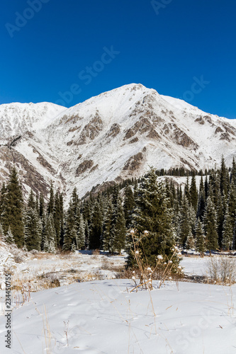 mountain landscape in winter © korvit