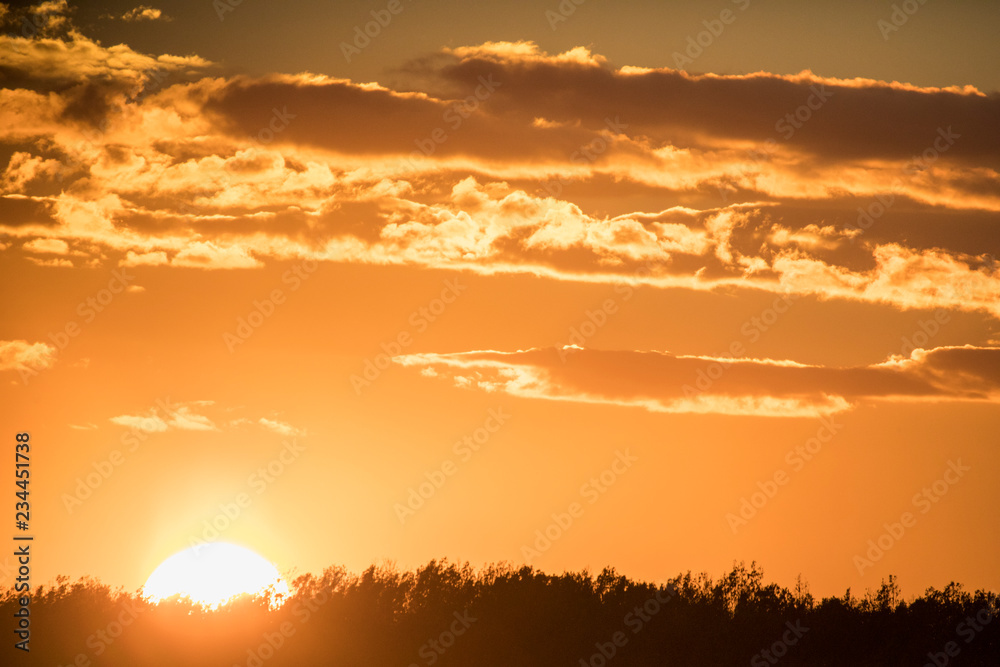 Fototapeta premium Landscape with autumn sunset over a vegetation field