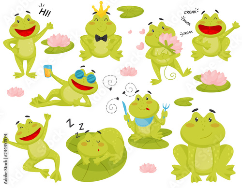 Flat vector set of frog in different actions. Cartoon character of funny green toad