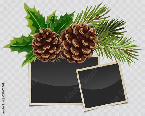 Vector branch of Christmas tree with pine cone and retro photo frames with transparent shadows