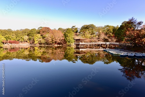 日本の奈良の紅葉