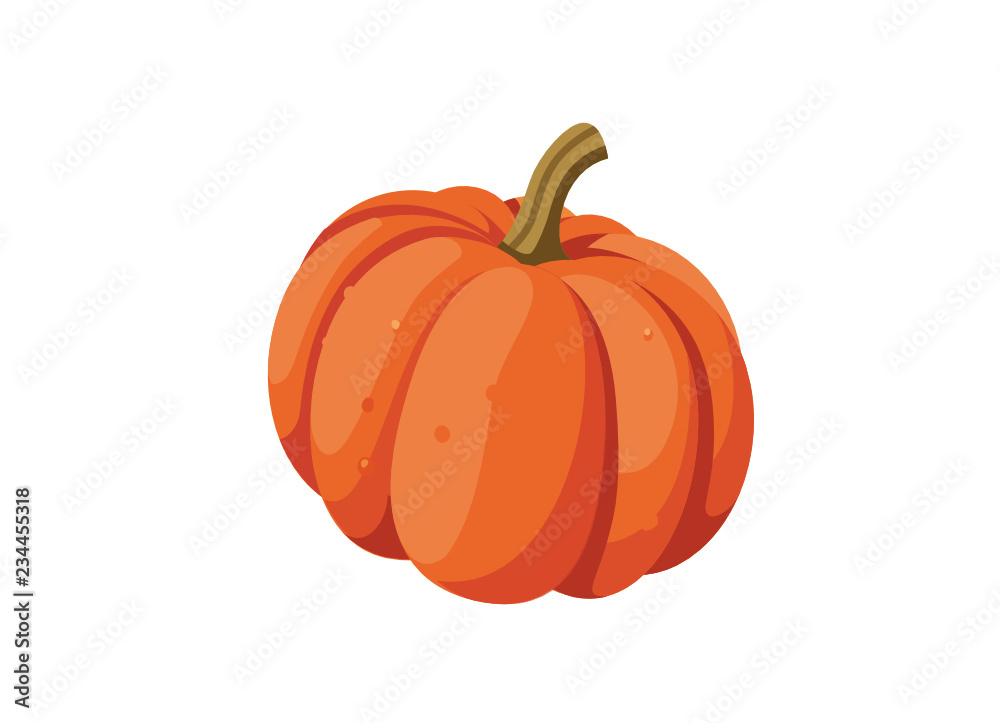 vector pumpkin, white background