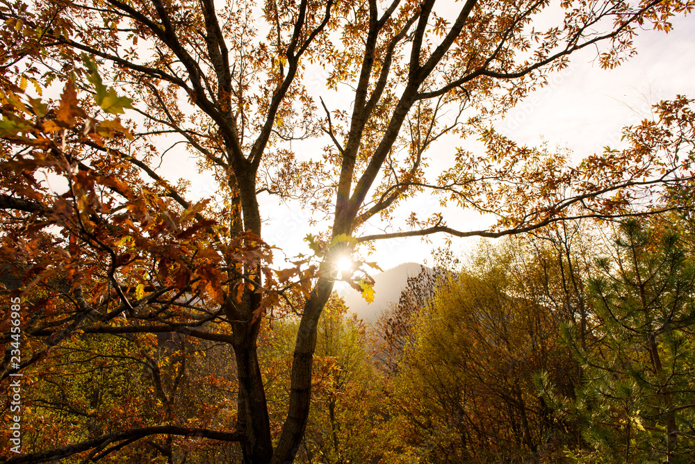 Autumnal landscape of Abruzzo National Park Autumnal landscape of Abruzzo National Park