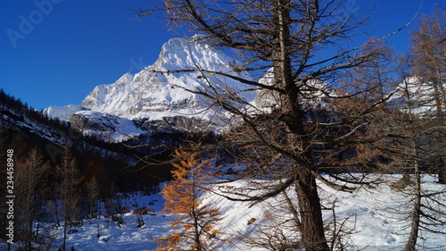 leone il monte photo