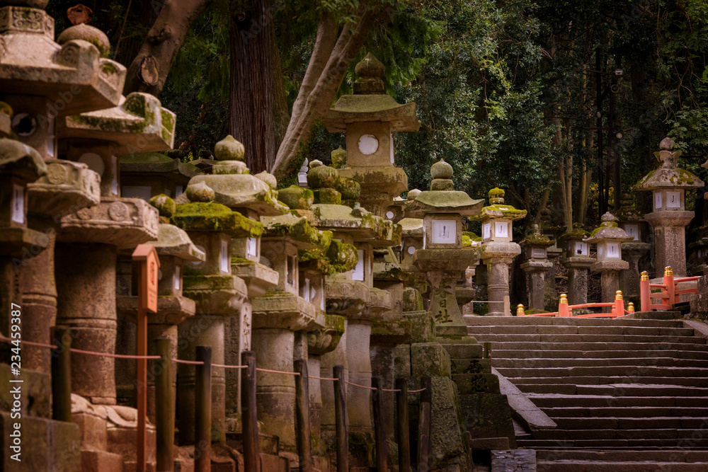 Fototapeta premium Japan