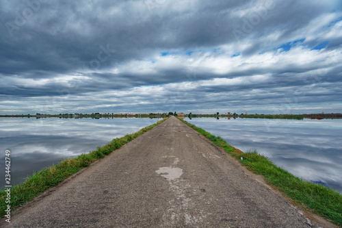 Road in the middle of flooded rice fields