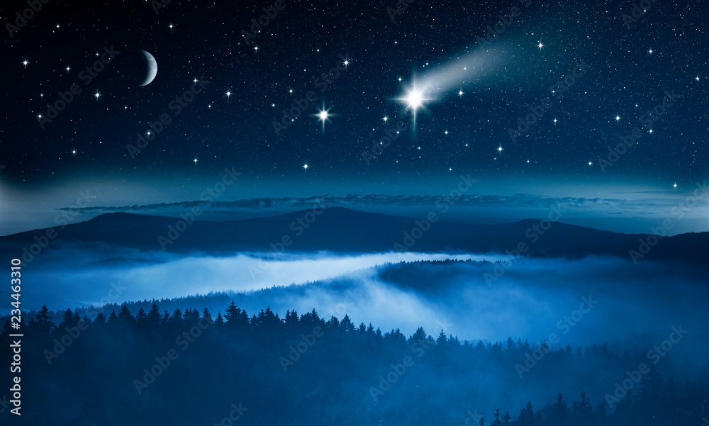 Naklejka premium Winternacht