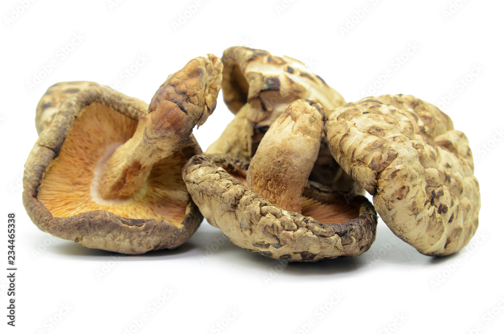 Dried shiitake mushrooms isolated Dried shiitake mushrooms isolated