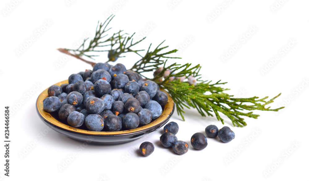 Cones and leaves of Juniper isolated on white background Cones and leaves of Juniper isolated on white background