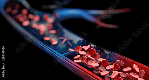 Varicose veins close up. Human legs on a blured background, 3d Illustration