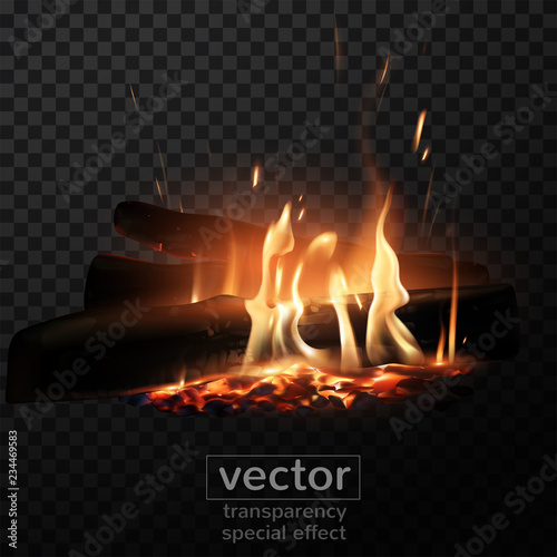 Burning fire in the fireplace. Firewood, coals, sparks, smoke. The effect of transparency. Highly realistic illustration.