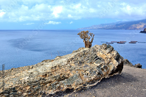Easternmost part of the island Madeira, Ponta de Sao Lourenco peninsula ,   dry climate, Portugal
