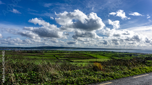 Green fields in Ireland with cows and fences