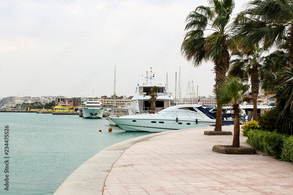 Fototapeta premium Yachts under palm trees in the sea harbor of Hurghada, Egypt. Port with tourist boats on the Red Sea.