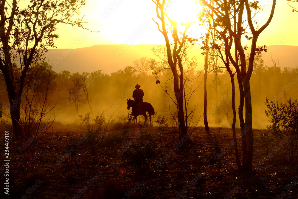 The Lone Horseman - Kimberley Cattle Muster