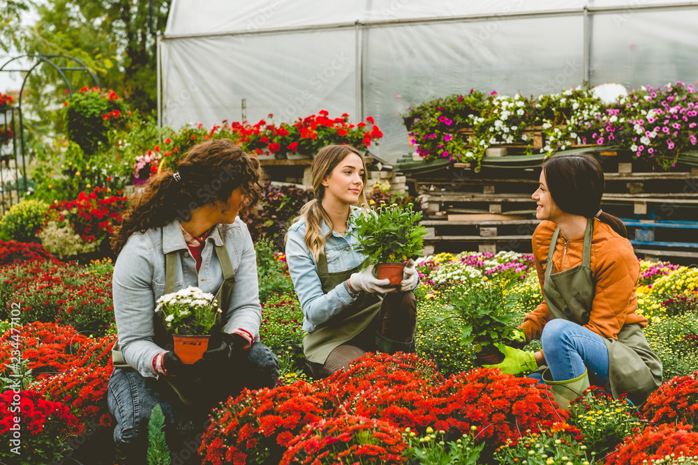 Florists working in greenhouse Florists working in greenhouse