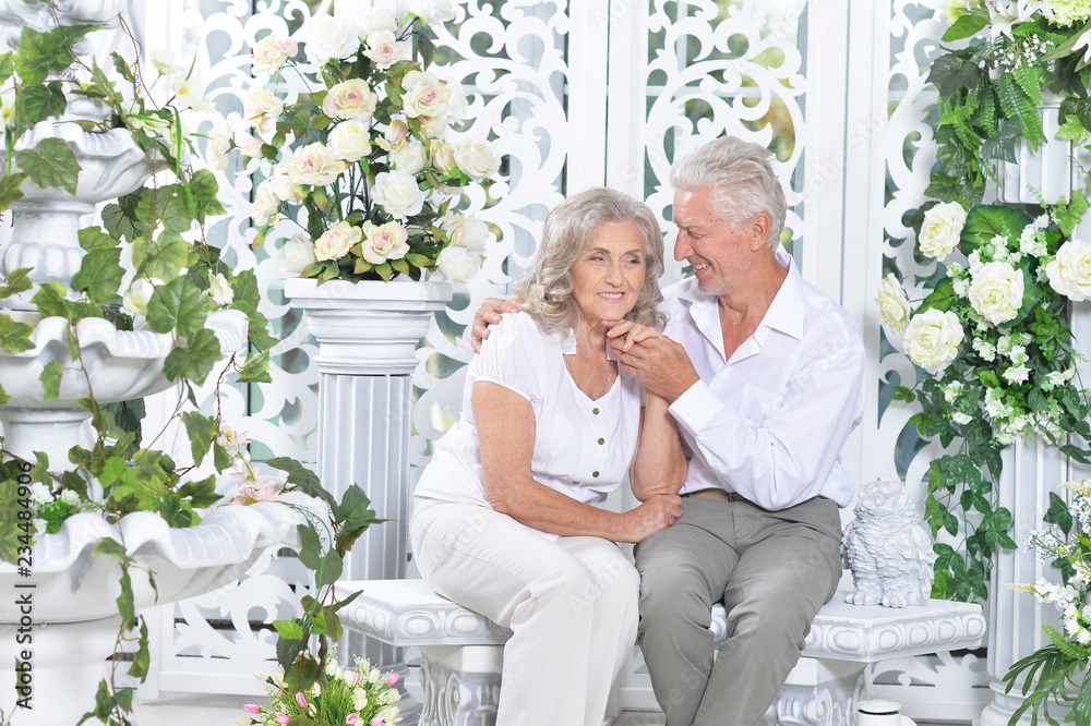 Fototapeta premium Portrait of happy senior couple posing in light cozy room