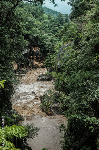 turbulent creek in a tall forest washed stone cliff