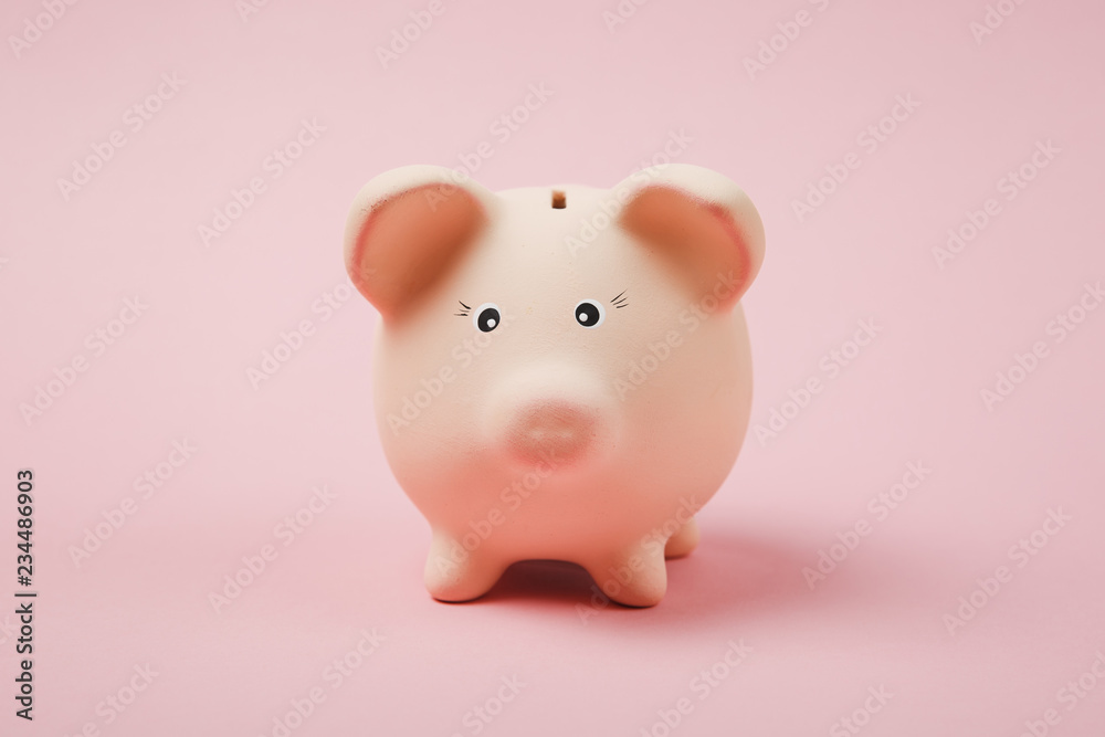 Close up photo of pink piggy money bank isolated on pastel pink wall background. Money accumulation, investment, banking or business services, wealth concept. Copy space advertising mock up.