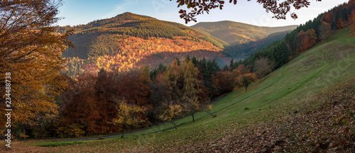 Champs du Sallen, Limbach en automne, Lapoutroie, Alsace, France