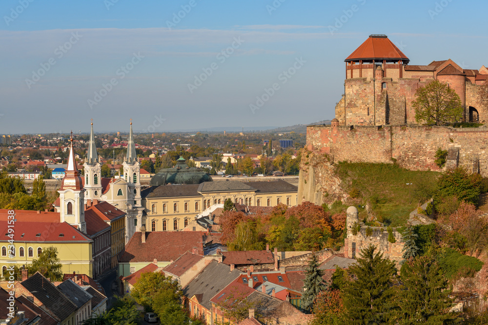 Scenic view of royal castle, roofs and towers in old town of Esztergom, Hungary at sunny autumn day