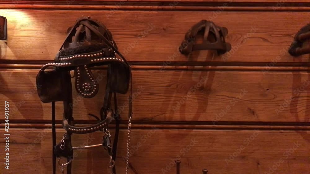 Horse bridle hanging on wooden wall