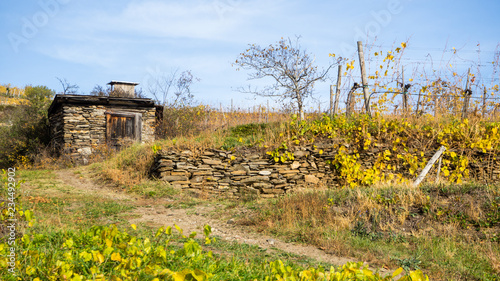 Steinhaus im Weingarten